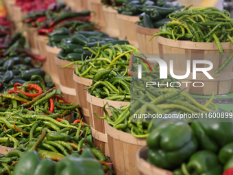 Various types of peppers are at a farmers market in Markham, Ontario, Canada, on September 22, 2024. (