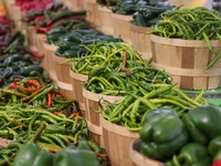 Various types of peppers are at a farmers market in Markham, Ontario, Canada, on September 22, 2024. (