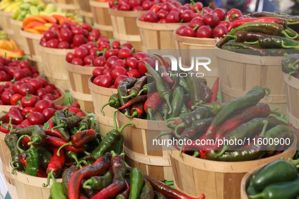 Various types of hot peppers are at a farmers market in Markham, Ontario, Canada, on September 22, 2024. 