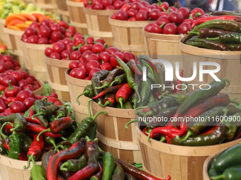 Various types of hot peppers are at a farmers market in Markham, Ontario, Canada, on September 22, 2024. (