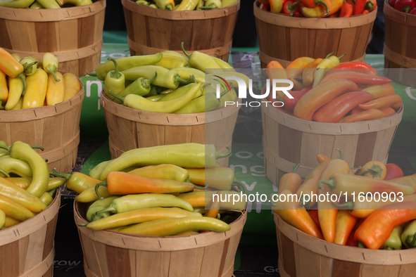 Various types of hot peppers are at a farmers market in Markham, Ontario, Canada, on September 22, 2024. 