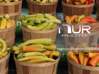 Various types of hot peppers are at a farmers market in Markham, Ontario, Canada, on September 22, 2024. (