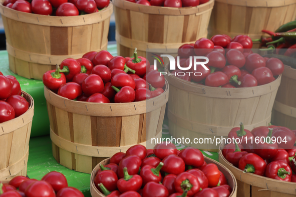 Hot peppers are at a farmers market in Markham, Ontario, Canada, on September 22, 2024. 