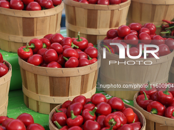 Hot peppers are at a farmers market in Markham, Ontario, Canada, on September 22, 2024. (