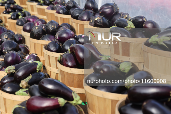 Eggplants are at a farmers market in Markham, Ontario, Canada, on September 22, 2024. 