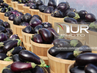 Eggplants are at a farmers market in Markham, Ontario, Canada, on September 22, 2024. (