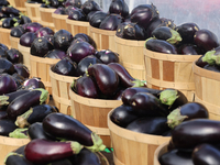 Eggplants are at a farmers market in Markham, Ontario, Canada, on September 22, 2024. (