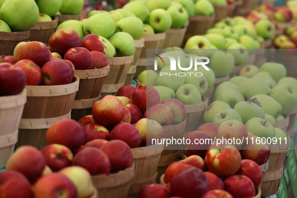 Apples are at a farmers market in Markham, Ontario, Canada, on September 22, 2024. 