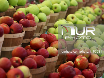 Apples are at a farmers market in Markham, Ontario, Canada, on September 22, 2024. (