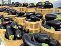 Eggplants are at a farmers market in Markham, Ontario, Canada, on September 22, 2024. (