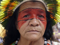 Protestors march for climate justice and against wildfires affecting the entire country in Sao Paulo, Brazil, on September 22, 2024. (