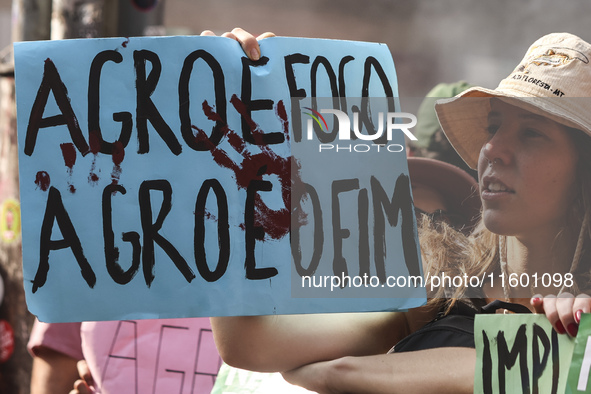 Protesters hold a demonstration against the fires and the climate situation in Brazil and for agrarian reform on Avenida Paulista, in the ce...