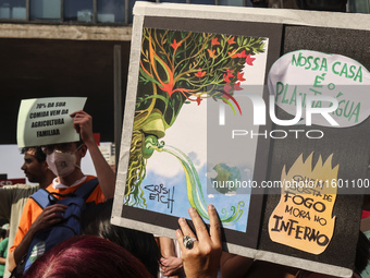 Protesters hold a demonstration against the fires and the climate situation in Brazil and for agrarian reform on Avenida Paulista, in the ce...