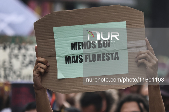 Protesters hold a demonstration against the fires and the climate situation in Brazil and for agrarian reform on Avenida Paulista, in the ce...