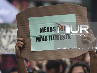 Protesters hold a demonstration against the fires and the climate situation in Brazil and for agrarian reform on Avenida Paulista, in the ce...