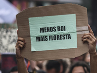 Protesters hold a demonstration against the fires and the climate situation in Brazil and for agrarian reform on Avenida Paulista, in the ce...