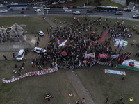 Protesters hold a demonstration against the fires and the climate situation in Brazil and for agrarian reform on Avenida Paulista, in the ce...