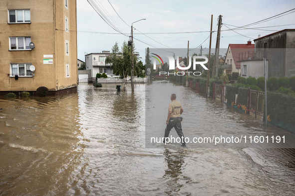 A man walks in the water after Nysa Klodzka river flooded town of Lewin Brzeski in southwestern Poland, on September 19th, 2024. Storm Boris...