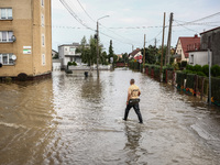 A man walks in the water after Nysa Klodzka river flooded town of Lewin Brzeski in southwestern Poland, on September 19th, 2024. Storm Boris...