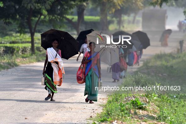 Women arrive to harvest fresh tea leaves at a tea garden in Nagaon district of Assam, India, on September 23, 2024. 