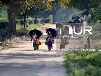 Women arrive to harvest fresh tea leaves at a tea garden in Nagaon district of Assam, India, on September 23, 2024. (