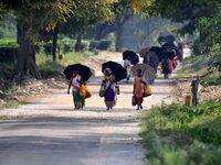 Women arrive to harvest fresh tea leaves at a tea garden in Nagaon district of Assam, India, on September 23, 2024. (