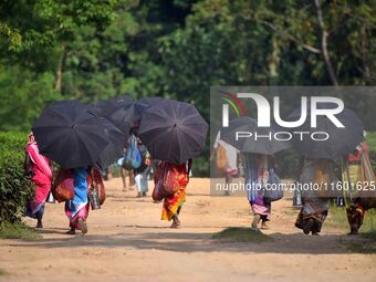 Women arrive to harvest fresh tea leaves at a tea garden in Nagaon district of Assam, India, on September 23, 2024. (