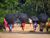 Women arrive to harvest fresh tea leaves at a tea garden in Nagaon district of Assam, India, on September 23, 2024. (