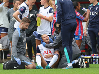 Amanda Nilden (on loan from Juventus) of Tottenham Hotspur Women picks up an injury during the Barclays FA Women's Super League soccer match...