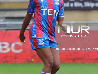 Ashleigh Weerden of Crystal Palace Women is in action during the Barclays FA Women's Super League soccer match between Tottenham Hotspur Wom...