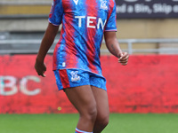 Ashleigh Weerden of Crystal Palace Women is in action during the Barclays FA Women's Super League soccer match between Tottenham Hotspur Wom...