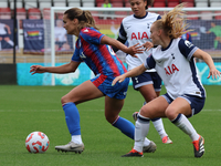 Katie Stengel of Crystal Palace Women plays during the Barclays FA Women's Super League soccer match between Tottenham Hotspur Women and Cry...