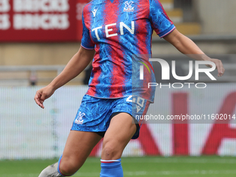 Katie Stengel of Crystal Palace Women plays during the Barclays FA Women's Super League soccer match between Tottenham Hotspur Women and Cry...