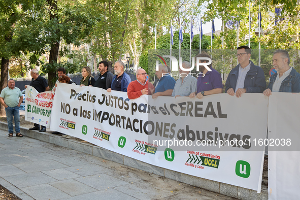 The Union de Uniones de Agricultores y Ganaderos holds a rally on Monday, September 23, in front of the European Commission building in Madr...