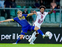 Valentino Lazaro of Torino FC and Martin Frese of Hellas Verona compete for the ball during the Serie A Enilive match between Hellas Verona...