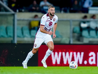 Sebastian Walukiewicz of Torino FC during the Serie A Enilive match between Hellas Verona and Torino FC at Stadio Marcantonio Bentegodi on S...