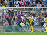 Daniel Grimshaw, goalkeeper of Plymouth Argyle, is in action during the Sky Bet Championship match between West Bromwich Albion and Plymouth...