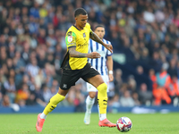 Morgan Whittaker of Plymouth Argyle is in action during the Sky Bet Championship match between West Bromwich Albion and Plymouth Argyle at T...