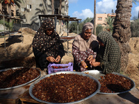 Palestinian farmer women sort freshly harvested dates at their farm in Deir Al-Balah, Gaza Strip, on September 23, 2024, amid the ongoing wa...