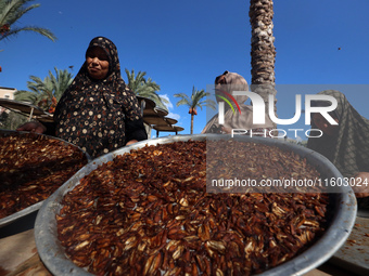 Palestinian farmer women sort freshly harvested dates at their farm in Deir Al-Balah, Gaza Strip, on September 23, 2024, amid the ongoing wa...