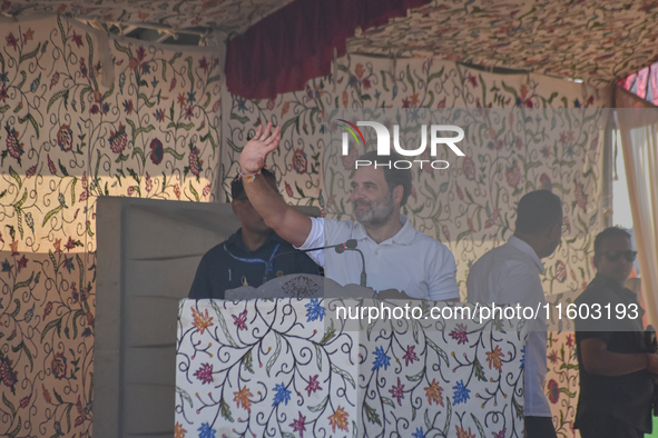 Indian National Congress head Rahul Gandhi addresses a campaign rally in Srinagar, Indian Administered Kashmir, on September 23, 2024. 