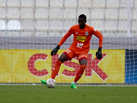 Emeka Kelvin Agu, goalkeeper of Sliema Wanderers, is in action during the Malta 360 Sports Premier League soccer match between Gzira United...