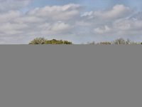 A soybean field at a farm in Stouffville, Ontario, Canada, on September 22, 2024. (