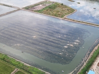 A photo taken on September 23, 2024, shows crab and lobster farming in a rice field in Huai'an, China, on September 23, 2024. (