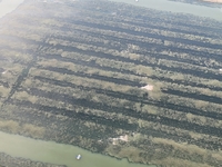 A photo taken on September 23, 2024, shows crab and lobster farming in a rice field in Huai'an, China, on September 23, 2024. (