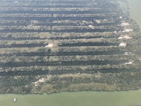 A photo taken on September 23, 2024, shows crab and lobster farming in a rice field in Huai'an, China, on September 23, 2024. (