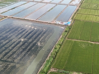 A photo taken on September 23, 2024, shows crab and lobster farming in a rice field in Huai'an, China, on September 23, 2024. (