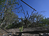 A tree breaks as a result of Russian shelling on the territory of the Vozdvyzhivka territorial community in Zaporizhzhia region, southeaster...