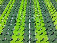 Primary school students practice martial arts during a class break in Tongren, China, on September 24, 2024. (