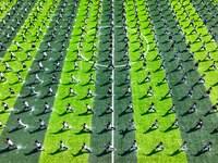 Primary school students practice martial arts during a class break in Tongren, China, on September 24, 2024. (